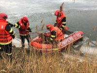 Un câine căzut în râul Suceava a fost salvat de pompierii militar