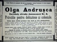 CERNĂUŢI – BUCOVINA, LA SCARA 1/1