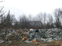 Amenzi pentru depozitări necontrolate de deşeuri şi poluare accidentală
