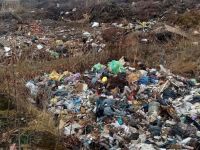 Dosar penal şi amendă pentru Servicii Comunale Rădăuţi