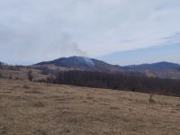 Incendii de vegetaţie uscată în mai multe localităţi din judeţ