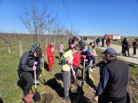 Clubul Rotary Fălticeni şi partenerii săi promovează educaţia pentru protecţia mediului