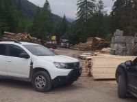 Percheziţii din mai multe localităţi sucevene în dosarul de evaziune fiscală în domeniul silvic