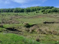 Împăduriri de peste 2,7 milioane de lei pentru stoparea alunecărilor de pe Dealul Mănăstirii