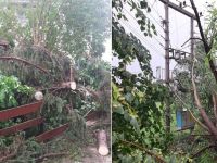 Intervenţii ale pompierilor militari în Fălticeni