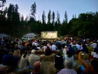 Club Rotary Suceava Cetate, alături de Festivalul Naţional de Folk „Ridică-te, Ştefane!” de la Putna