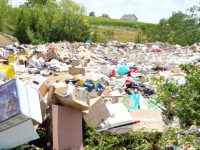 Garda de Mediu Suceava a aplicat amenzi de peste 240.000 de lei
