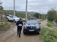 Un bărbat a fost atacat de urs în apropierea comunei Vama