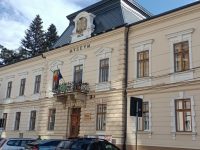 Muzeul Naţional al Bucovinei găzduieşte singura colecţie de sculptură Constantin Antonovici din România