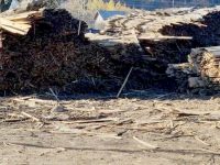 O firmă a fost sancţionată pentru depozitarea neconformă a deşeurilor lemnoase