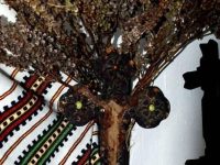 Ritualuri şi credinţe din noaptea Sfântului Andrei