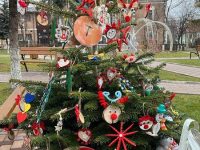 Prima expoziţie de brazi împodobiţi din Fălticeni