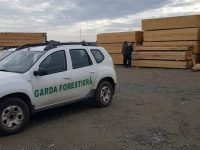 Garda Forestieră Suceava, 180 de intervenţii pentru „buna funcţionare” a sistemului SUMAL