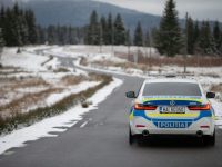 Poliţiştii suceveni au intervenit la 285 de evenimente şi au întocmit 133 de dosare penale