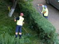Primarul Rîmbu dispune eliminarea gardurilor vii şi a celor metalice din preajma blocurilor din Suceava