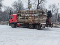 Poliţia a identificat mai multe transporturi ilegale de lemn