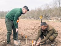 Tăierile ilegale, schimbările climatice şi presiunea asupra terenurilor forestiere afectează în mod direct sănătatea pădurilor