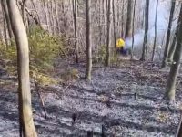 Şase incendii de vegetaţie uscată în 24 de ore!