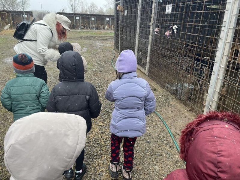 Preşcolari de la Grădiniţa „Prichindel” în vizită la Adăpostul Public Suceava
