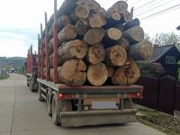 Camioane în valoare de 80.000 euro confiscate în cadrul unui amplu dosar penal