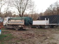 Cinci transporturi de lemn au fost confiscate de poliţişti