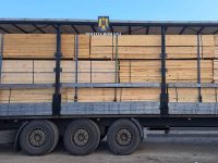 Dosar penal cu 44 de suspecţi, pentru evaziune fiscală în comerţul cu material lemnos