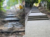 Parcul Şipote se transformă într-un simbol al Sucevei