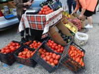 Suceava are 35 de beneficiari ai sprijinului financiar pentru legumele cultivate în spaţii protejate