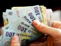 Angajaţii din agricultură au pierdut 5,5% din salariul mediu net
