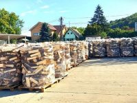Romsilva oferă populaţiei aproximativ 2 milioane mc de lemn pentru foc