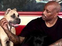 Tyrese Gibson, urmărit de poliţie după ce câinii săi ar fi ucis animalul de companie al unui vecin