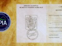 Rentierii agricoli suceveni încasează dreptul aferent anului 2024