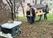 casute pisicile comunitare decembrie 2025
