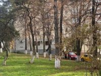 Zeci de parcele din spaţii verzi şi parcuri au fost privatizate sub fosta administraţie
