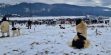 Parada Ciobanescului de Bucovina ianuarie 2026_02