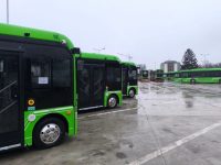 Guvernul ar putea da liber angajărilor de şoferi pentru transportul metropolitan de călători