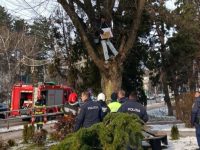 Un bărbat din Cajvana a cerut intervenţia prefectului pentru obţinerea cărţii de identitate: „Sunt uns cu benzină şi îmi dau foc!”