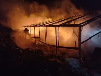 Incendiu puternic la o seră de flori din Vicovu de Sus