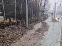 Trei firme de construcţii au fost amendate cu 21.000 de lei pentru că nu au reparat trotuarele şi carosabilul afectate de săpături