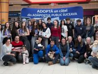 Şapte căţei şi-au găsit familii 