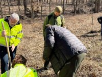 Comisarii suceveni au „furat startul” Lunii Plantării Arborilor cu o acţiune de împădurire la Dolhasca