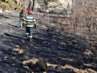 16 incendii de vegetaţie uscată în 24 de ore!
