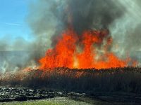 Alte 11 incendii de vegetaţie uscată într-o singură zi