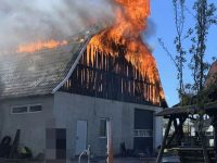 Un incendiu violent a afectat o hală şi un adăpost de animale