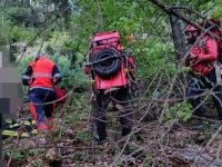 Un tânăr a fost rănit după ce autoturismul s-a răsturnat pe un drum forestier