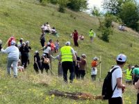5.000 de puieţi au fost plantaţi pentru salvarea unui deal afectat de eroziune
