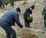 plantat puieti arhiepiscopie ostra 2026_03