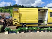 Acţiune de amploare a poliţiei în pieţele din Vereşti şi Moldoviţa