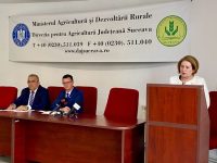 Accent pe protecţie socială, economie socială şi relaţii de muncă