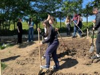 Descoperirea agriculturii prin implicare directă şi experienţe autentice